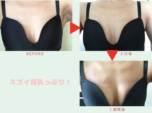 マッコイ正規取扱店 | 美乳を作る・保つノン F ブーブメイクジェル