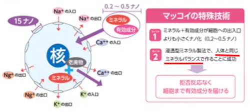 ノンＦドラゴン   マッコイアイテム随一のミネラル量を誇る業務用