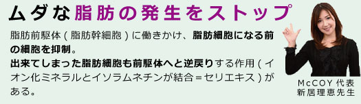 みやび株式会社 | マッコイのノンFモンスター【正規取扱店】